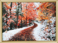 Готова картина стразами КС-154 "Червона осінь"