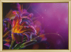 Готова картина стразами КС-169 "Пурпурна лілія"
