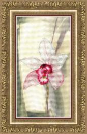 Набір для часткової вишивки хрестом Чарівна Мить РК-119 "Рожева орхідея"