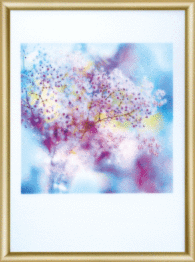 Набір картина стразами Чарівна Мить КС-163 "Ранковий туман"