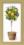 ВТ-075 Набір для вишивання хрестиком Crystal Art "Лимонне дерево"