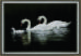 Набор картина стразами Crystal Art КС-1026 "Лебединая семья". Каталог товарів. Набори