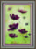 Набор картина стразами Crystal Art КС-1065 "Космея". Каталог товарів. Набори