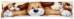 PN-0009354 Набор для вышивания крестом (подушка) "Собака". Каталог товарів. Набори