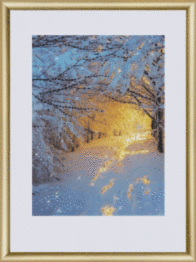Набір картина стразами Чарівна Мить КС-176 "Зимовий ліс"