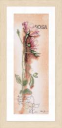PN-0008050 Набір для вишивки хрестом LanArte Rosa - Botanical "Роза"