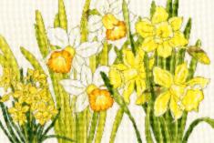 XBD10 Набір для вишивання хрестом Daffodil Blooms "Цвіте нарцис"
