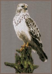PN-0172743 Набір для вишивки хрестом LanArte Falcon "Сокіл"