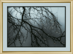 Набір картина стразами Чарівна Мить КС-172 "Після дощу"