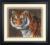 03236 Набір для вишивання хрестом DIMENSIONS Tiger "Тигр"