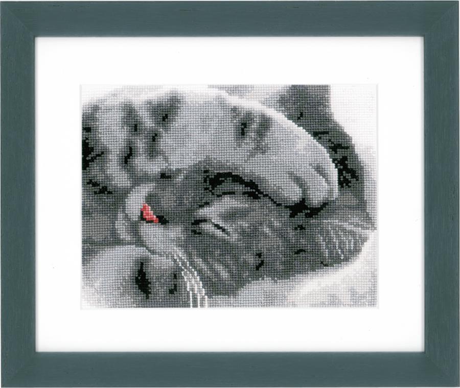 PN-0165499 Набор для вышивания крестом Vervaco "Милый котенок". Каталог товарів. Набори